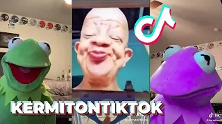 Best KermitOnTikTok TikToks of 2021 | Funny Kermit On TikTok Videos