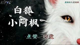 小阿枫 - 白狐 （歌词版）『我爱你时你正一贫如洗寒窗苦读 离开你时 …』| AVT PT