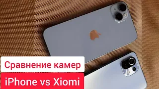 Iphone 14 pro vs Xiomi 11 lite 5g  ne ТЕСТ камер. Такие разные😉