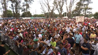 Bailantas, peñas y campamento, un fenómeno popular  del Festival Nacional del Chamamé de Federal