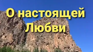 Стихи о любви 💜 Стихи любимому человеку / Магия Слов