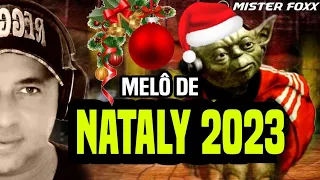 Melô De Nataly 2023 | Reggae Remix - Love Is The Answer - Dj Mister Foxx