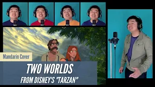 Tony Chen - Two Worlds Mandarin Cover from Disney's Tarzan
