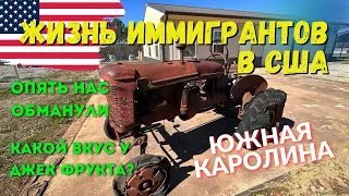 Жизнь иммигрантов в Америке Южная Каролина США.