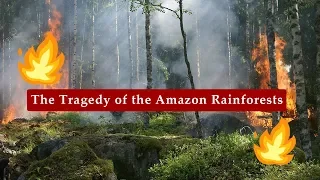 The Amazon Forest Fire | Current Affairs