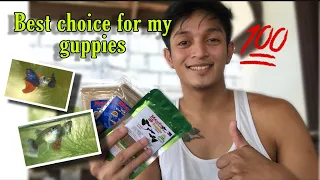 Best food choices for guppy (MAXFLO REVIEW)