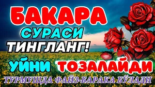 Бақара сураси Уйга ШАЙТОН кирмайди !!! Baqara surasi БАКАРА BAQARAH | БУ СУРАНИ УҚИНГ