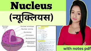 Cell biology (L-12),Nucleus bsc 1st year zoology knowledge adda lion batch notes pdf, #neet #biology