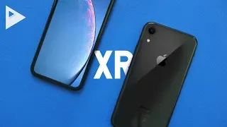 The iPhone OF THE YEAR - iPhone XR Review