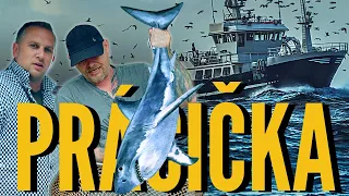 POŘÁDNÝ ÚLOVEK! 🐟 CELODENNÍ PRÁCIČKA S ODBORNÍKEM NA RYBY | Recepty na pořádnou grilovačku 🔥