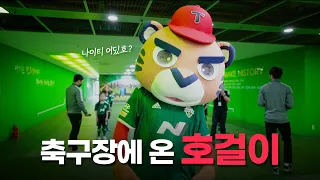 야구팀 마스코트가 축구장에 오면? ⚾⚽ 호걸이의 시축 도전기! #호걸이 IN 전주성