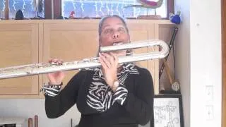 Bass Flute Basics #4 Developing the Low Register Chris Potter