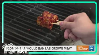 Florida bill would ban lab-grown meat
