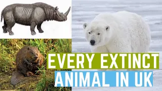 Every animal that went extinct in the UK