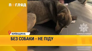 Без собаки - не піду: принциповий хлопчик врятував тварину