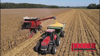 Collins Brothers Farm Case IH 8250 Corn Harvest