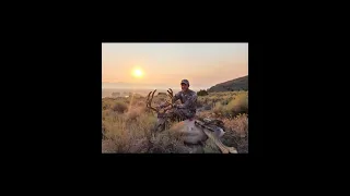 Nevada Archery Mule Deer