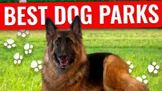 Best Dog Parks in North Texas