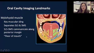 Imaging of the parotid gland Part 3 | Health4TheWorld Academy