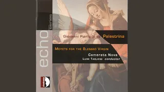 Motets for 4 Voices, Book 2: Alma Redemptoris Mater, Tu quae genuisti