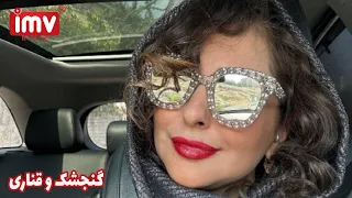 ► Iranian Film Sparrow and Canary | فیلم ایرانی گنجشک و قناری