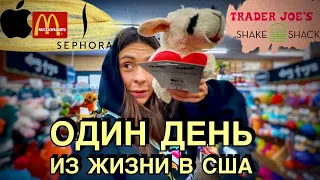 НОВАЯ БУРГЕРНАЯ и УХОД ЗА ВОЛОСАМИ | ПОКУПАЮ НОУТ? ЭПЛ СТОР | ТРЭЙДЕР ДЖОС | ПРОБЕЖКИ С БАРРИ