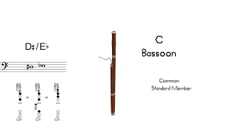 Bassoon Family (Part 1)