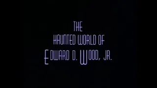 The Haunted World Of Edward D Wood Jr (1995)