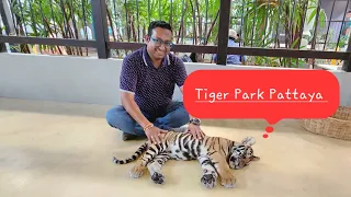 Thailand 🇹🇭  Episode 5 - Tiger Park 🐅- Pattaya