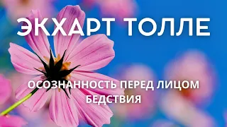 Осознанность перед лицом бедствия - ЭКХАРТ ТОЛЛЕ [Nikosho]