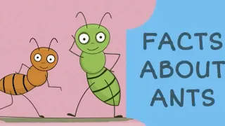 | Facts About Ants | Facts about Ants for kids | cool Facts |