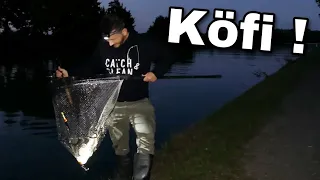 Köderfisch angeln auf dicke Kanal Aale