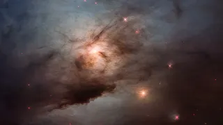 Take a Tour of Nebula NGC 1333