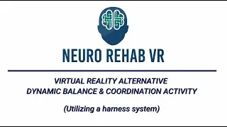 Alternate Dynamic Balance Activity in Virtual Reality