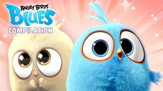 Angry Birds Blues | Ep. 11 to 15
