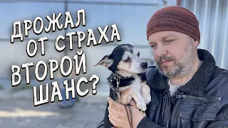 Спасение животных / Второй шанс на пристрой для отказника из приюта