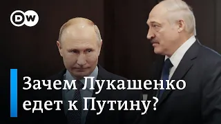 Дружба на ремонте: Лукашенко снова едет к Путину выпрашивать дешевую нефть? DW Новости (04.02.2020)