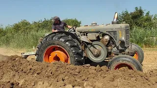 28° GARA NAZIONALE D' ARATURA DI TRATTORI D' EPOCA A QUINGENTOLE 2023