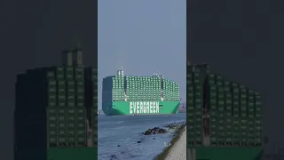 உலகின் பெரிய கன்டைனர் கப்பல் சூயஸ் கால்வாய்க்கு வருகிறது Biggest container ship EverAce #Shorts