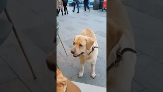 Видео, которое вы заслужили