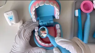 [💸Toy asmr💸] Dental care | Melissa & Doug Dentist kit + extras ASMR 멜리사앤더그 치과 장난감 교정기 빼는날