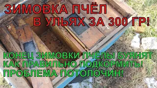 Как зимуют пчёлы в ульях за 300гр ПРОБЛЕМЫ ПОТОЛОЧИН В ЗИМУ ✅☝️🐝