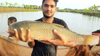 Amazing Gill Net Fishing Line Catch Hundreds Tons of Fish - Amazing Big Catching on The Pond