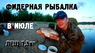 Фидерная рыбалка с ночевкой / фидер в июле