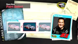 NASCAR The Game Inside Line Drivers and Paint Schemes