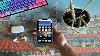 What's on My iPhone in 2024 - Top Widgets and Apps Revealed!