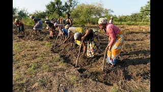 Marracuene Agroecology