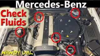 Mercedes-Benz How to Check Car Fluid Levels (Transmission, Brake, Power Steering, Coolant and Oil)
