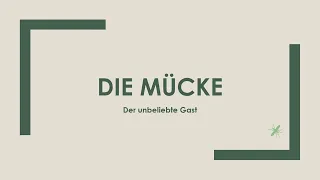 Die Mücke einfach und kurz erklärt