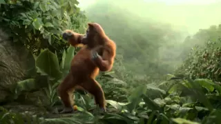 ВИДЕО поздравление с танцующей обезьяной 2016